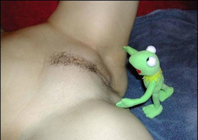 Bild markiert mit: Close-up, Funny, Kermit, Pussy