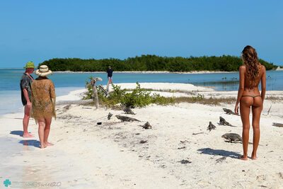 Bild markiert mit: Skinny, Bikini Life Trip to Iguana Island, Blonde, Katya Clover - Mango A, katya-clover.com, Ass - Butt, Beach, Bikini, Russian, Sexy Wallpaper, Small Tits