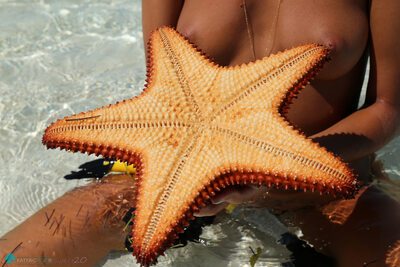 Bild markiert mit: Skinny, Bikini Life Trip to Iguana Island, Blonde, Katya Clover - Mango A, katya-clover.com, Nature, Russian, Sexy Wallpaper, Small Tits