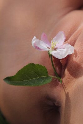 Bild markiert mit: Skinny, Katya Clover - Mango A, L'innesto, MET Art, Close-up, Flower, Nature, Pussy, Russian