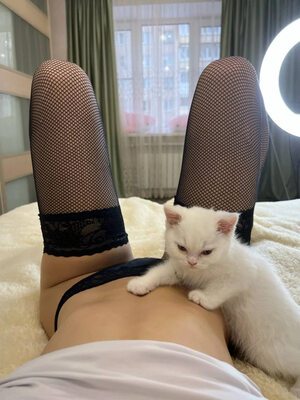 Bild markiert mit: Skinny, Lera Buns - Valeriia Makusheva - Valeria Titova, Cat, Lingerie, Russian, Tummy